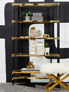 Allessi 5 Shelf Unit In Champagne Finish and Black Frame