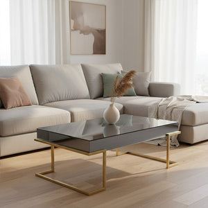 Kaso Grey Mirrored and Gold Finish Coffee Table