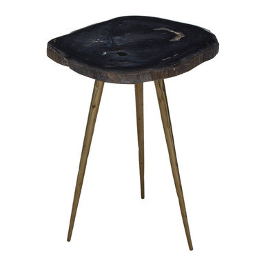 Relic Side Table With Petrified Wood Top and Brass Finish Legs