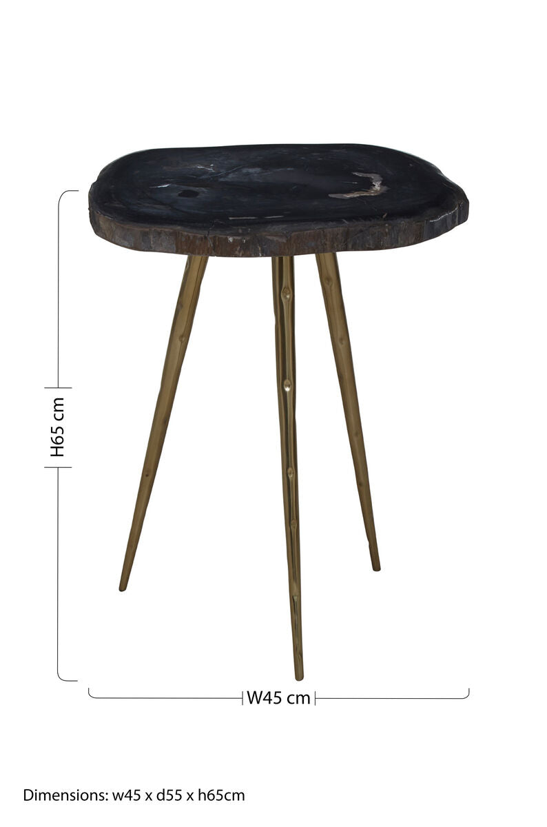 Relic  Petrified Wood Top and Brass Finish Legs Side Table