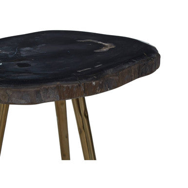 Relic  Petrified Wood Top and Brass Finish Legs Side Table