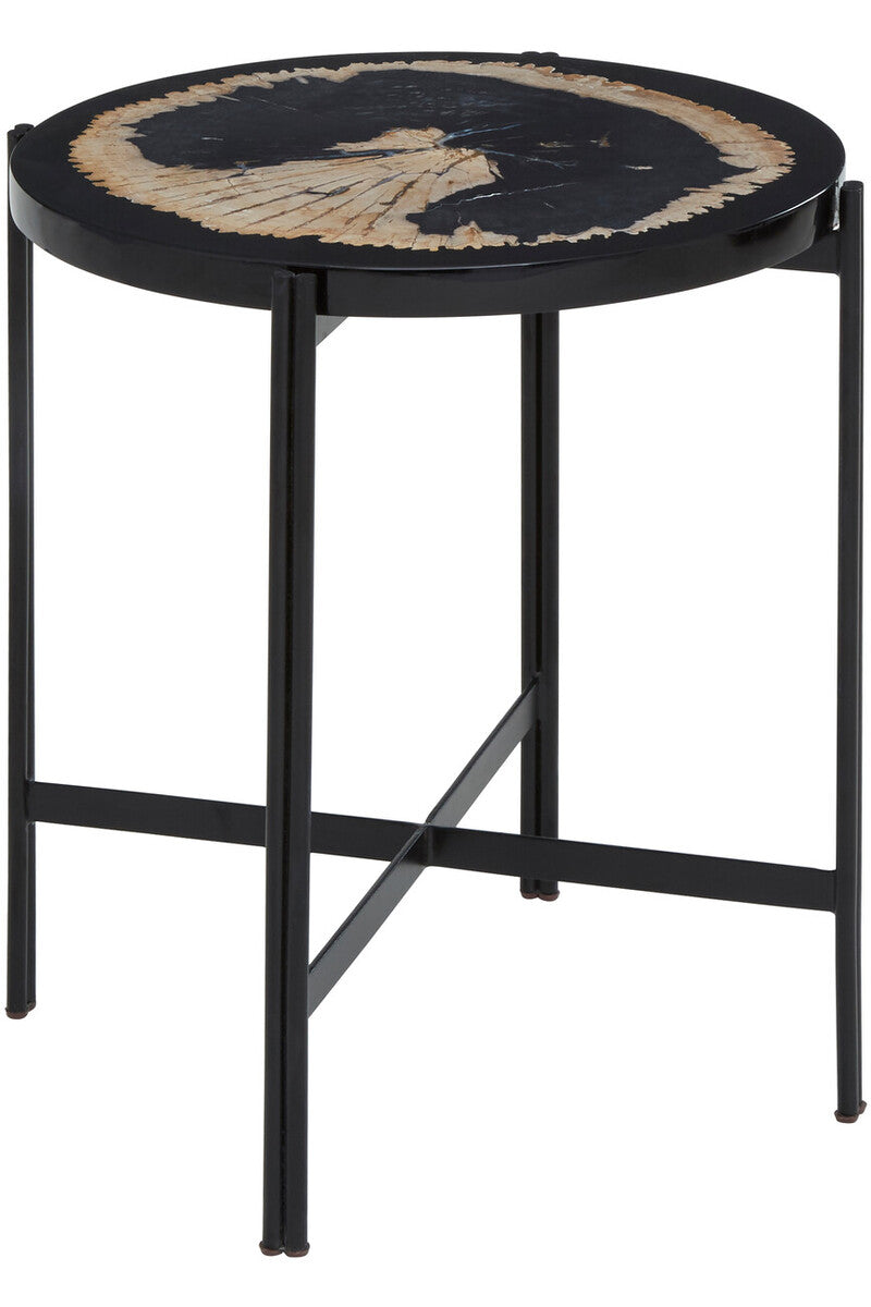 Relic Petrified Wood and Resin Side Table