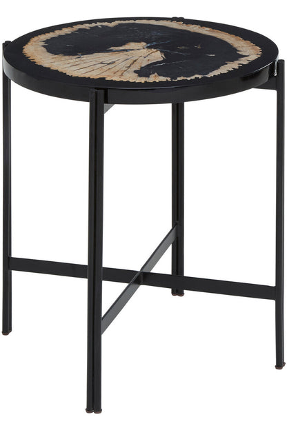 Relic Petrified Wood and Resin Side Table