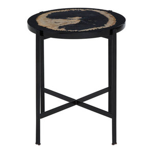 Relic Petrified Wood and Black Resin Side Table