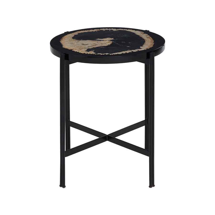 Relic Petrified Wood and Resin Side Table