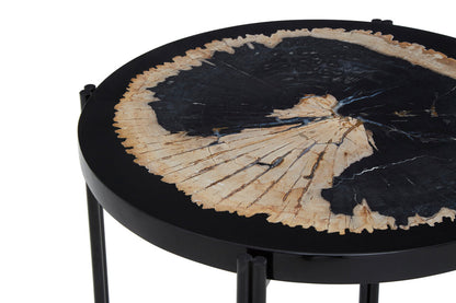 Relic Petrified Wood and Resin Side Table