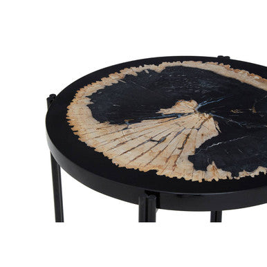Relic Petrified Wood and Resin Side Table