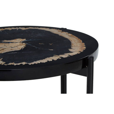 Relic Petrified Wood and Resin Side Table
