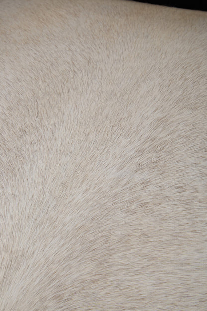 Cala Black Textured Armchair with Tufted Back