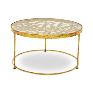 Rabia Butterfly Coffee Table
