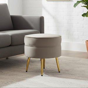 Tamra Round Mink Velvet Gold Leg Footstool