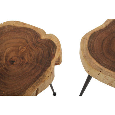 Nandri Set Of 2 Acacia Wood Side Tables