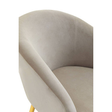 Yasmeen Mink Velvet Chair And Footstool