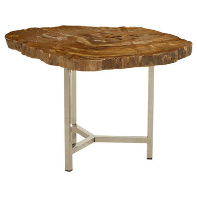 Relic Small Petrified Wood Side Table