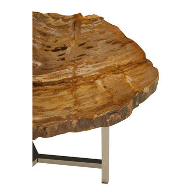 Relic Small Petrified Wood Side Table