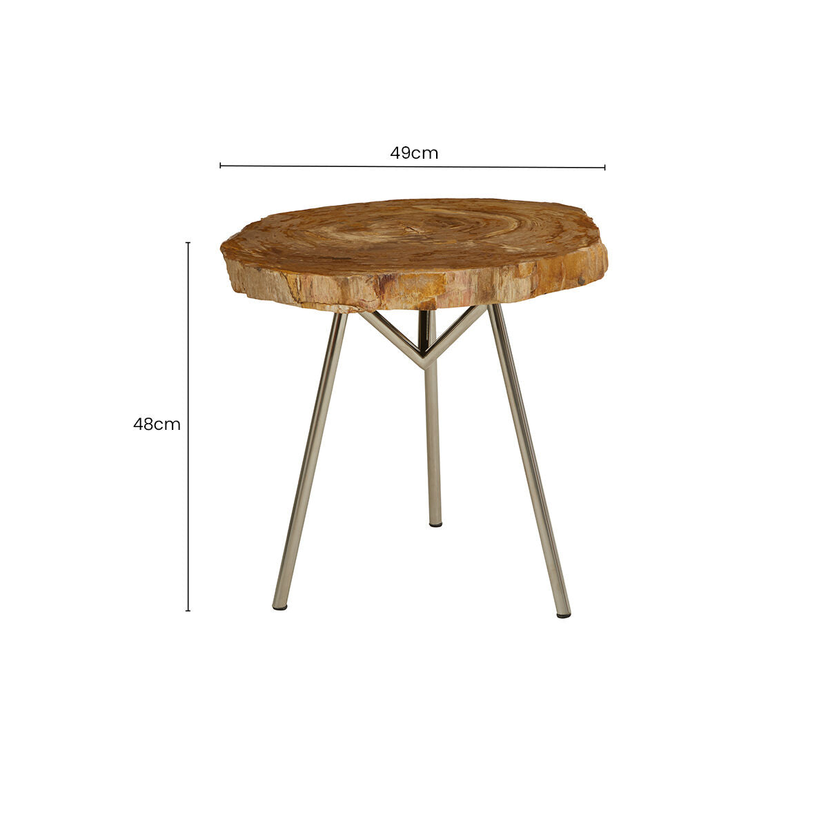 Natural Medium Rustic Petrified Wood Top Side Table with Silver Finish Metal Frame, Relic