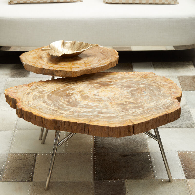 Relic Medium Petrified Wood Side Table