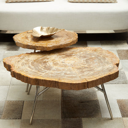 Relic Medium Petrified Wood Side Table