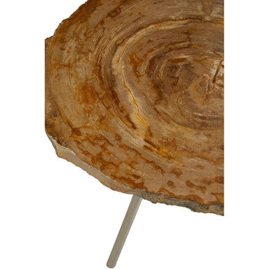 Relic Medium Petrified Wood Side Table