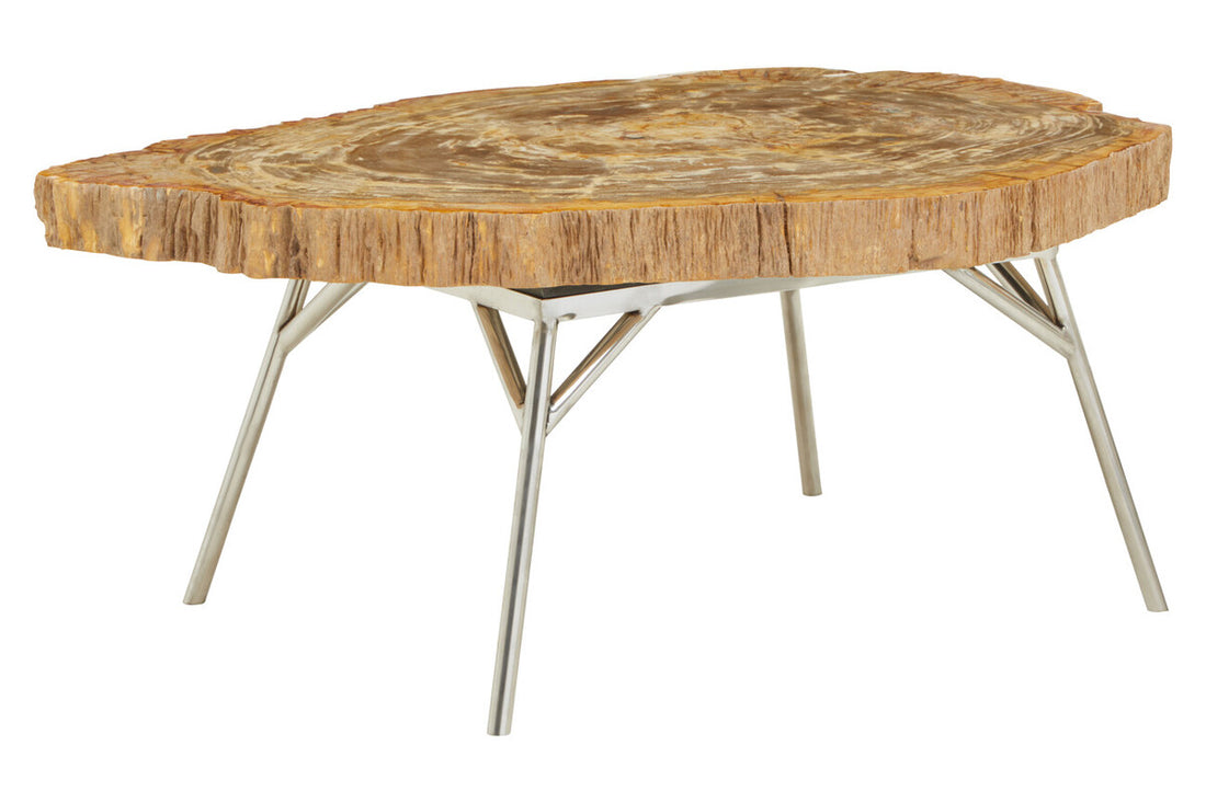 Relic Natural Petrified Wood Coffee Table
