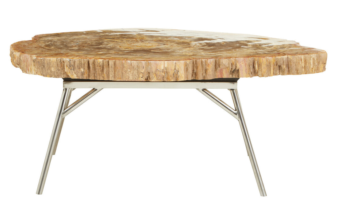 Relic Natural Petrified Wood Coffee Table