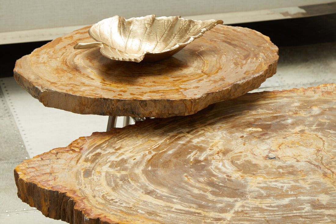 Relic Natural Petrified Wood Coffee Table