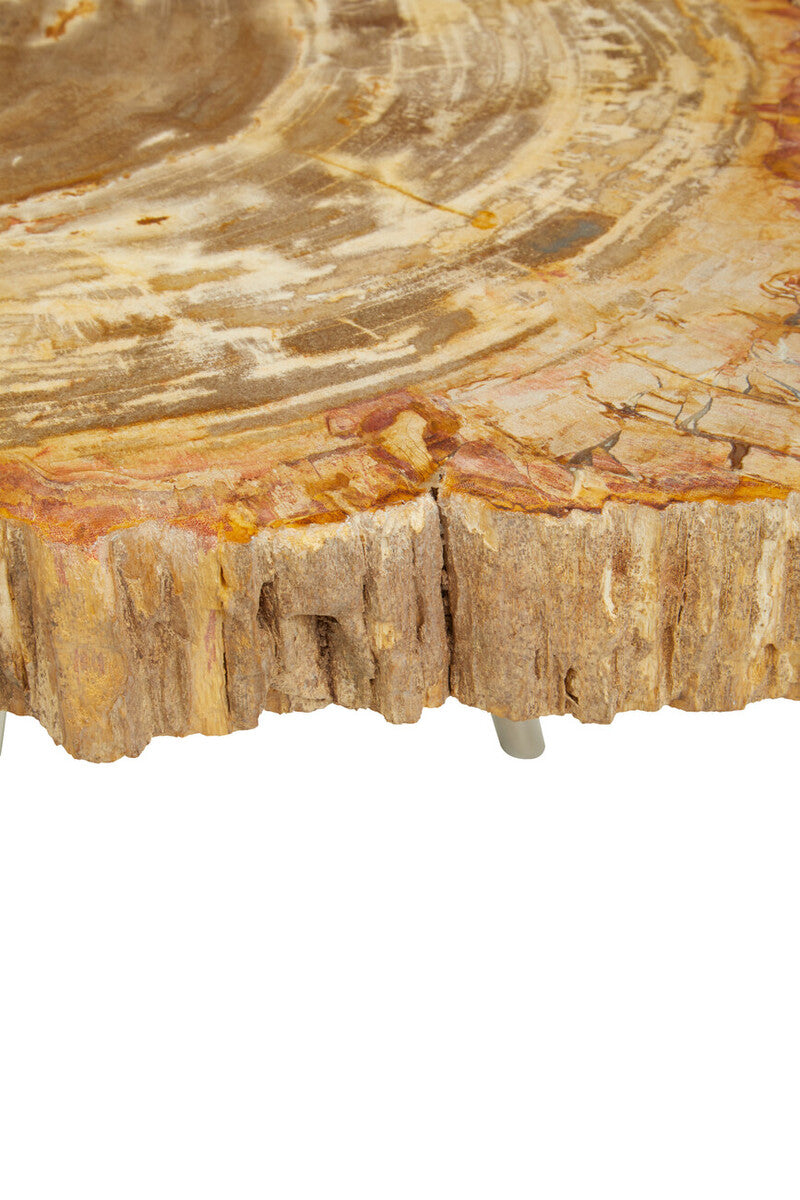 Relic Natural Petrified Wood Coffee Table