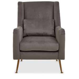 Doucet Grey Velvet Chair With Gold Finish Legs