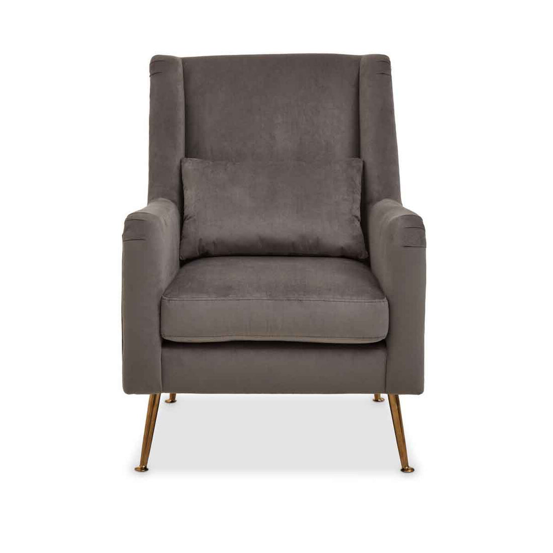 Doucet Grey Velvet Chair With Gold Finish Legs