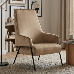 Mink Velvet Chair | Henia