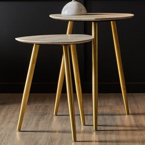 Set of 2 Natural Shagreen Leather Round Top Side Tables with Gold Finish Legs, Cadio