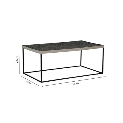 Akola Rectangle Coffee Table in Silver and Glass