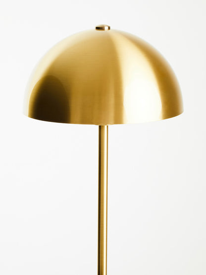 Gold floor lamp on a white background