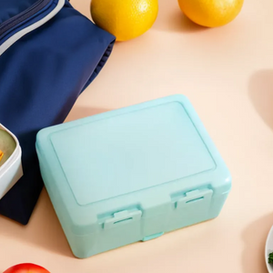 Mint Green 2 Section Lunch Box | Grub Tub
