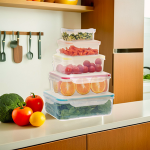 5 Piece Rectangular Food Containers with Airtight Lids | Herrela